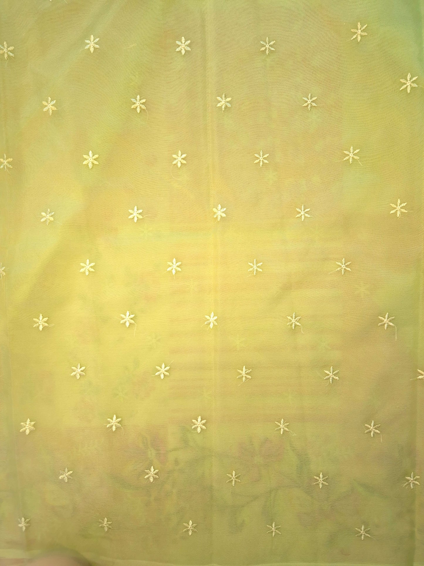 Light Green Banarasi Embroidery Tissue Saree