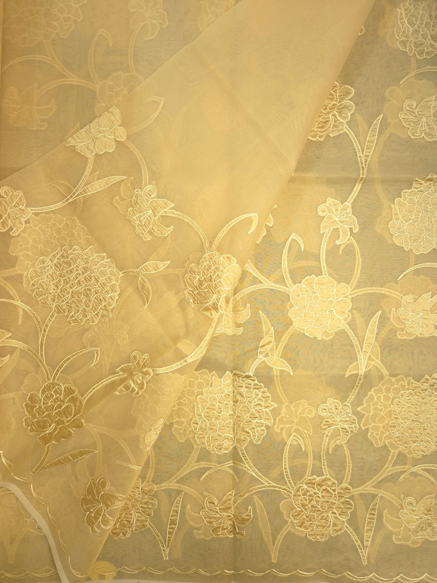 Pastel Golden Organza Applique Saree