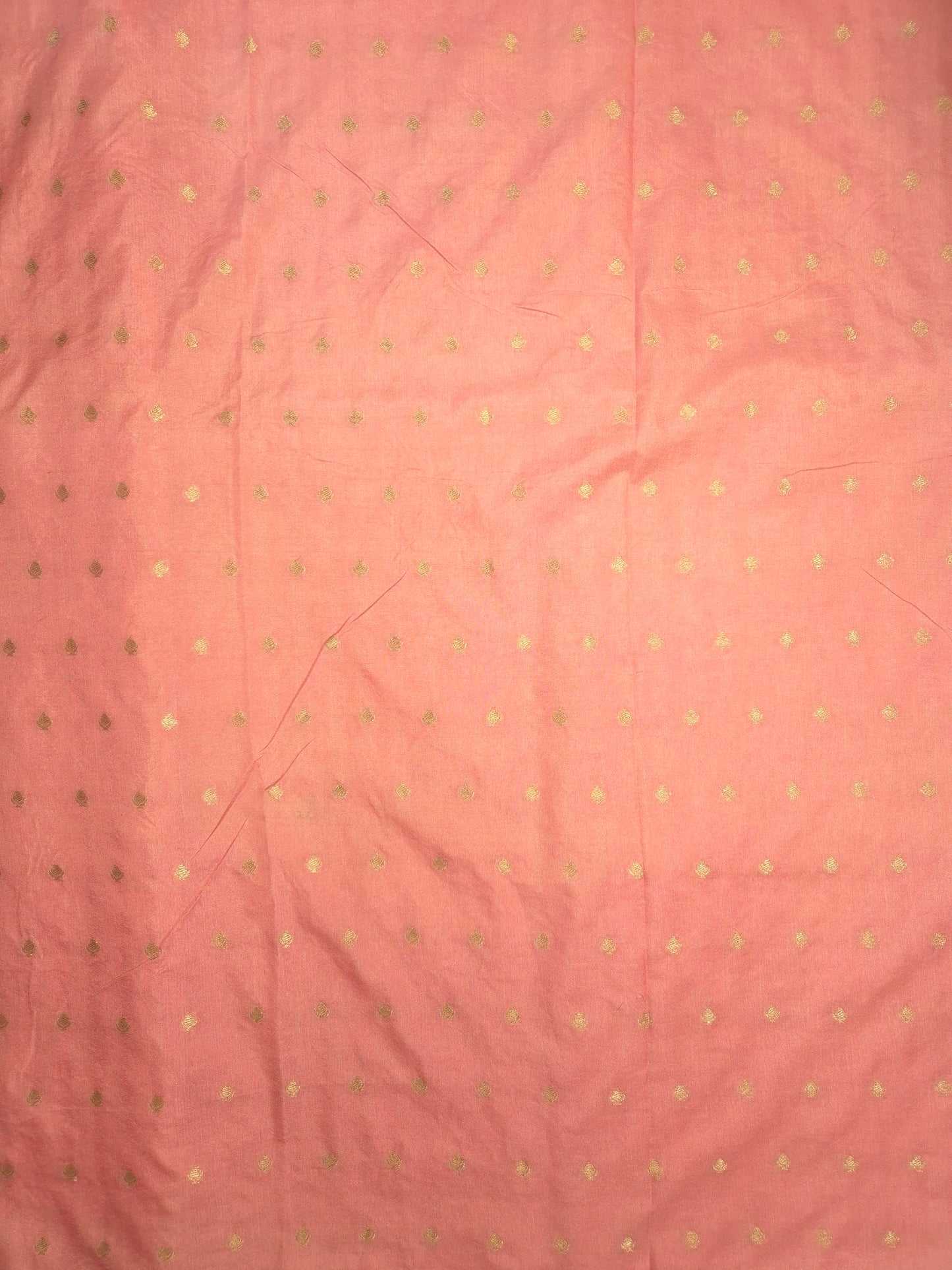 Pastel Peach Organza Applique Saree