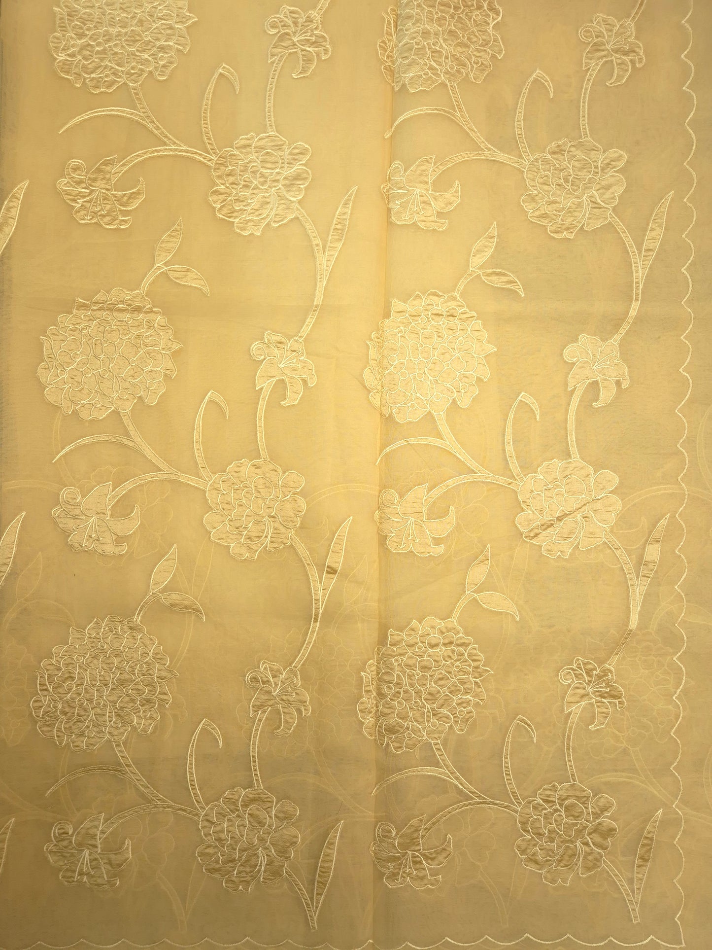 Pastel Golden Organza Applique Saree