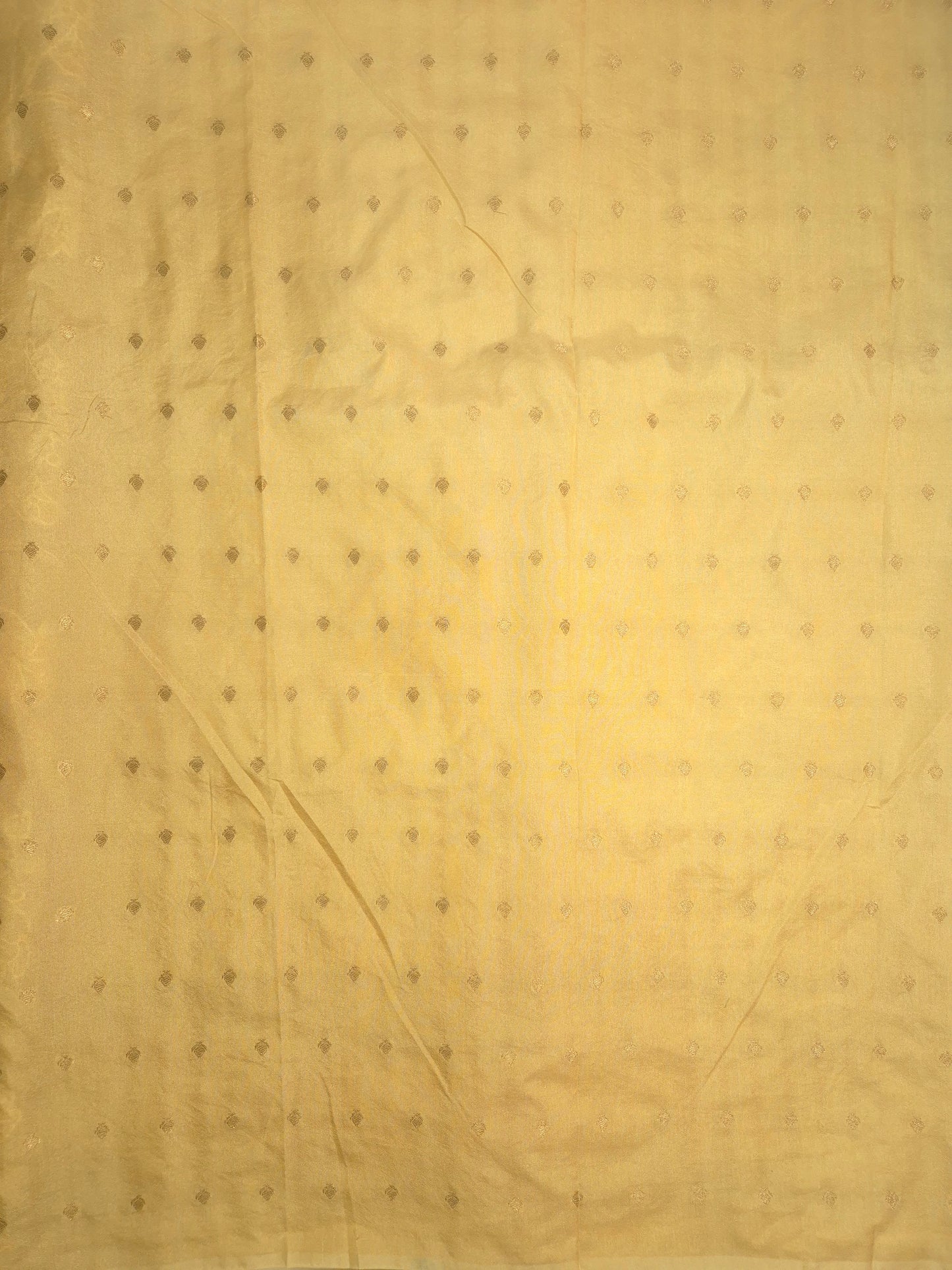 Pastel Golden Organza Applique Saree