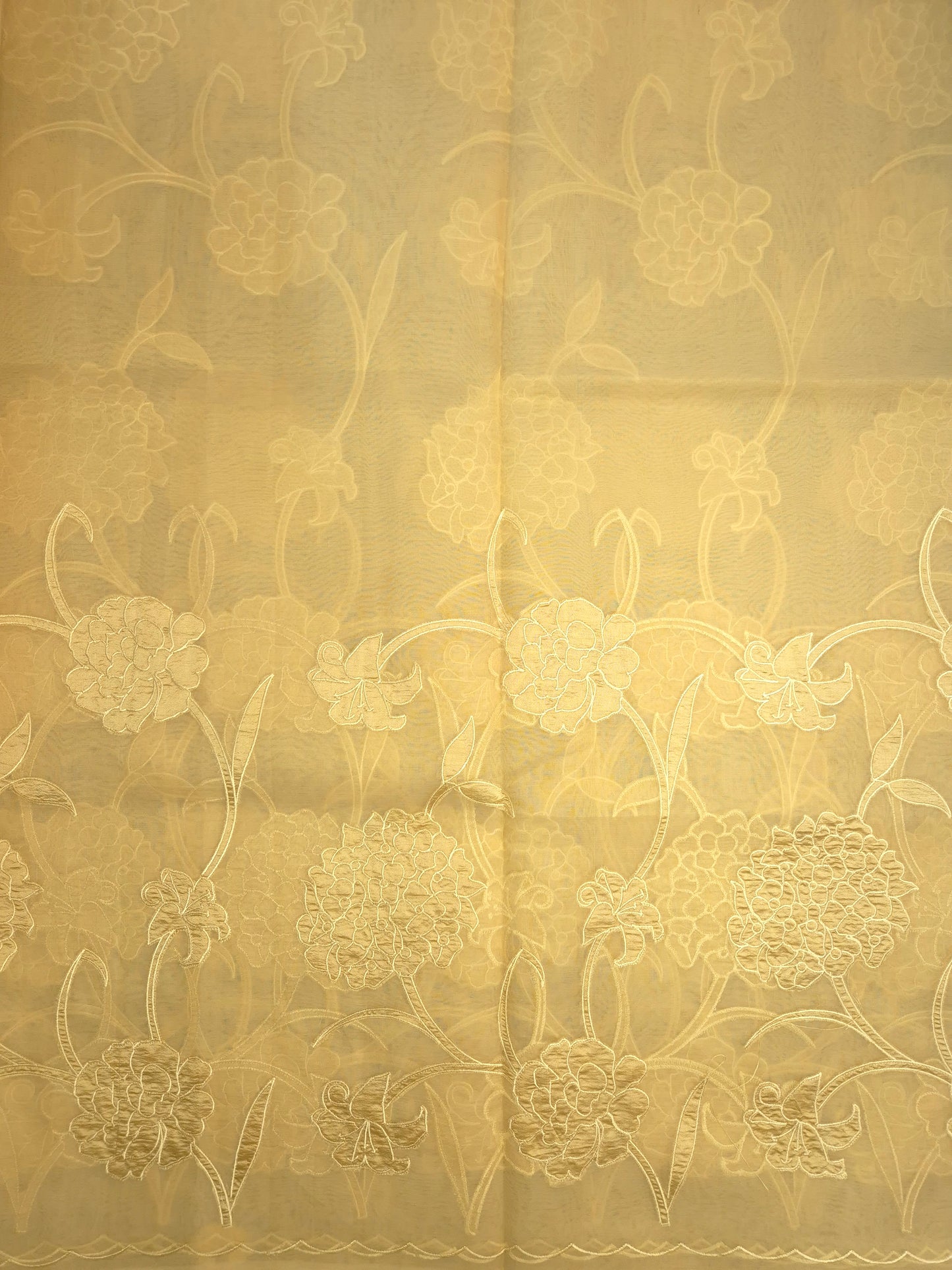 Pastel Golden Organza Applique Saree