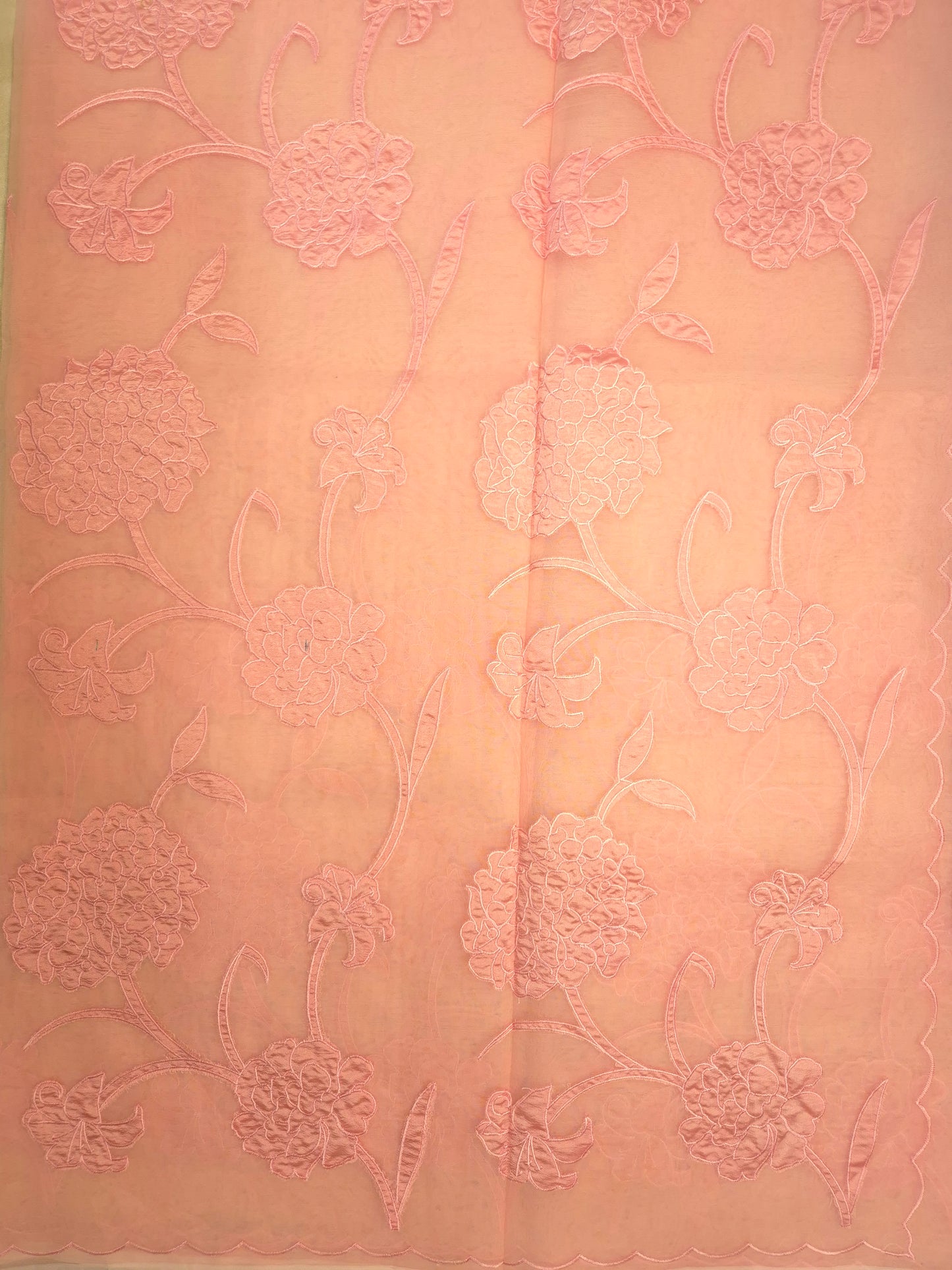 Pastel Peach Organza Applique Saree