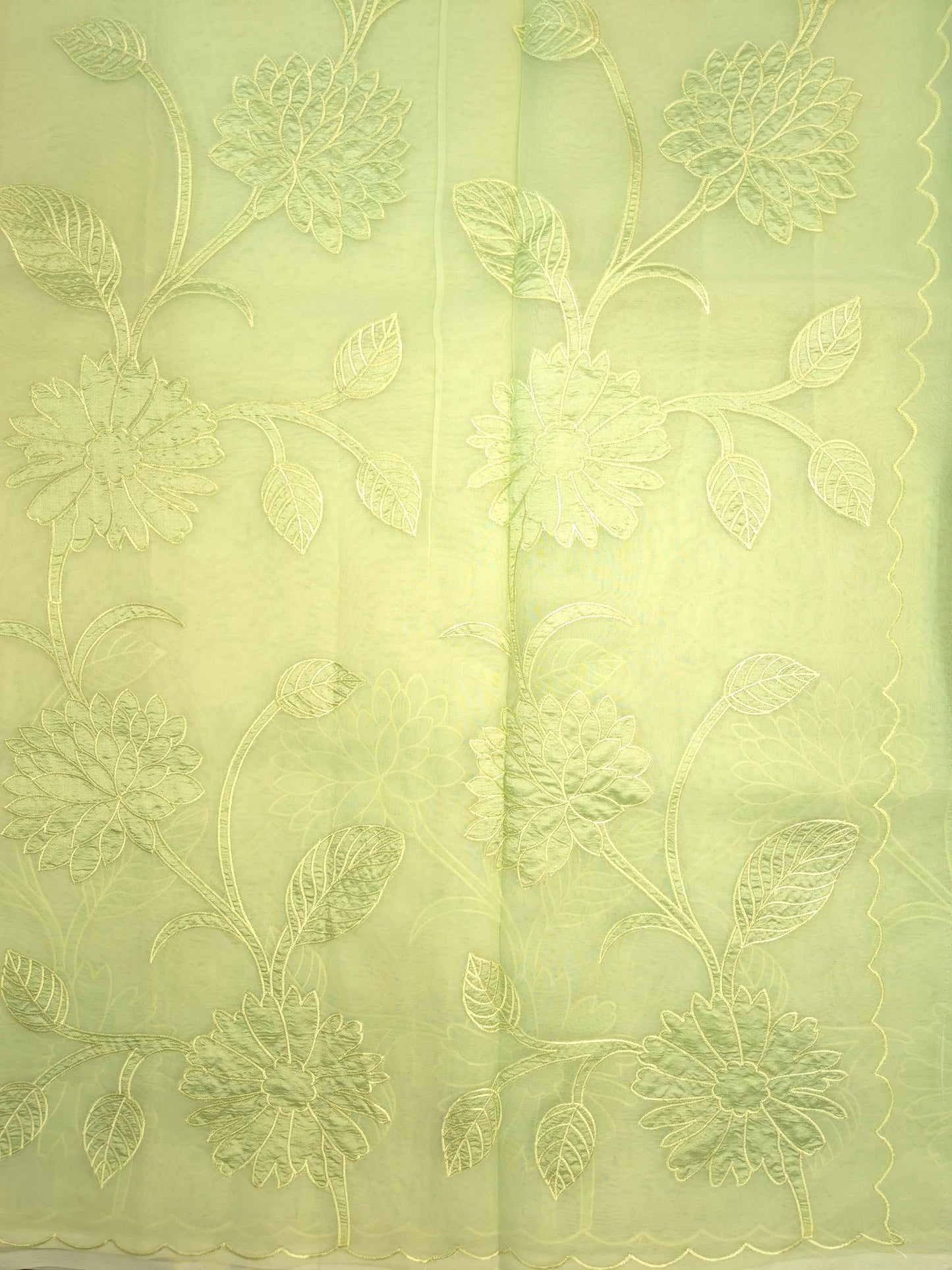 Pastel Green Organza Applique Saree