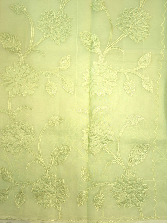 Pastel Green Organza Applique Saree