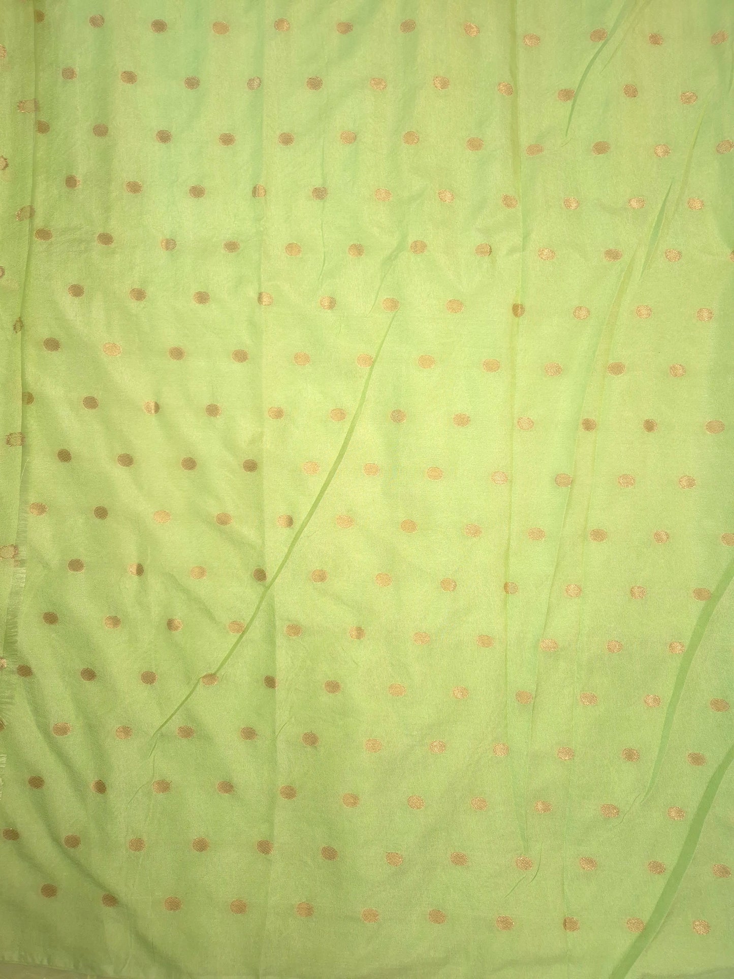 Pastel Green Organza Applique Saree