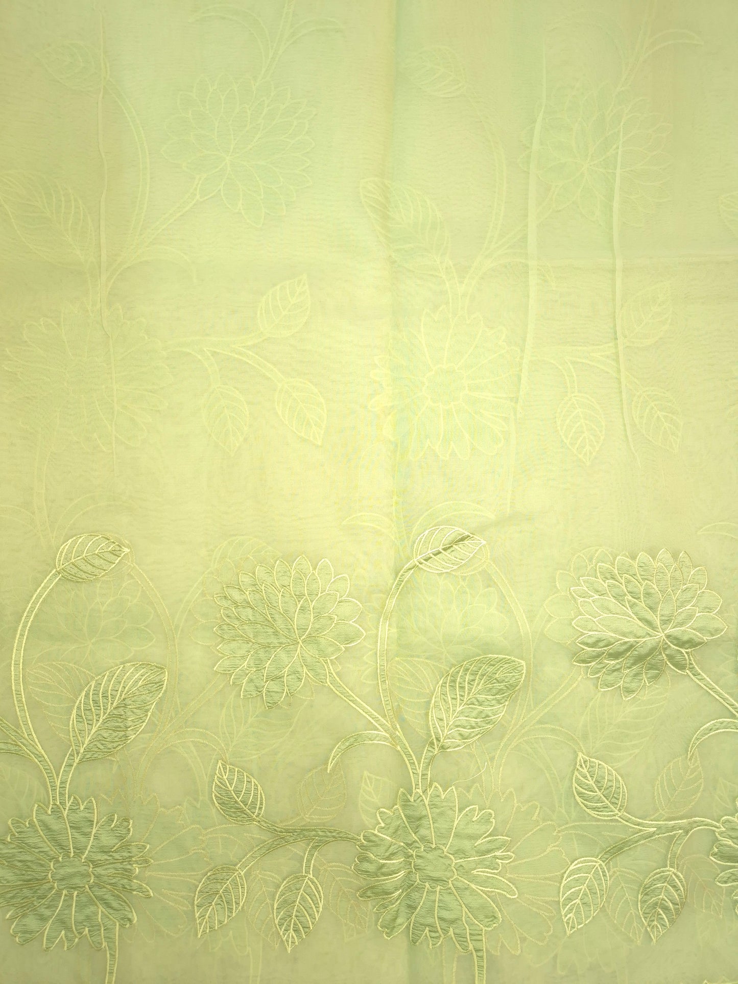 Pastel Green Organza Applique Saree