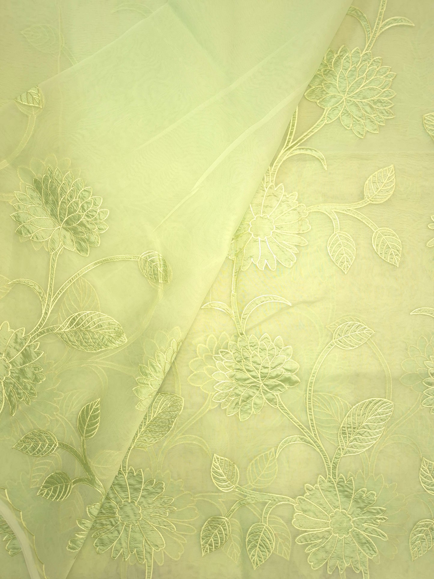Pastel Green Organza Applique Saree