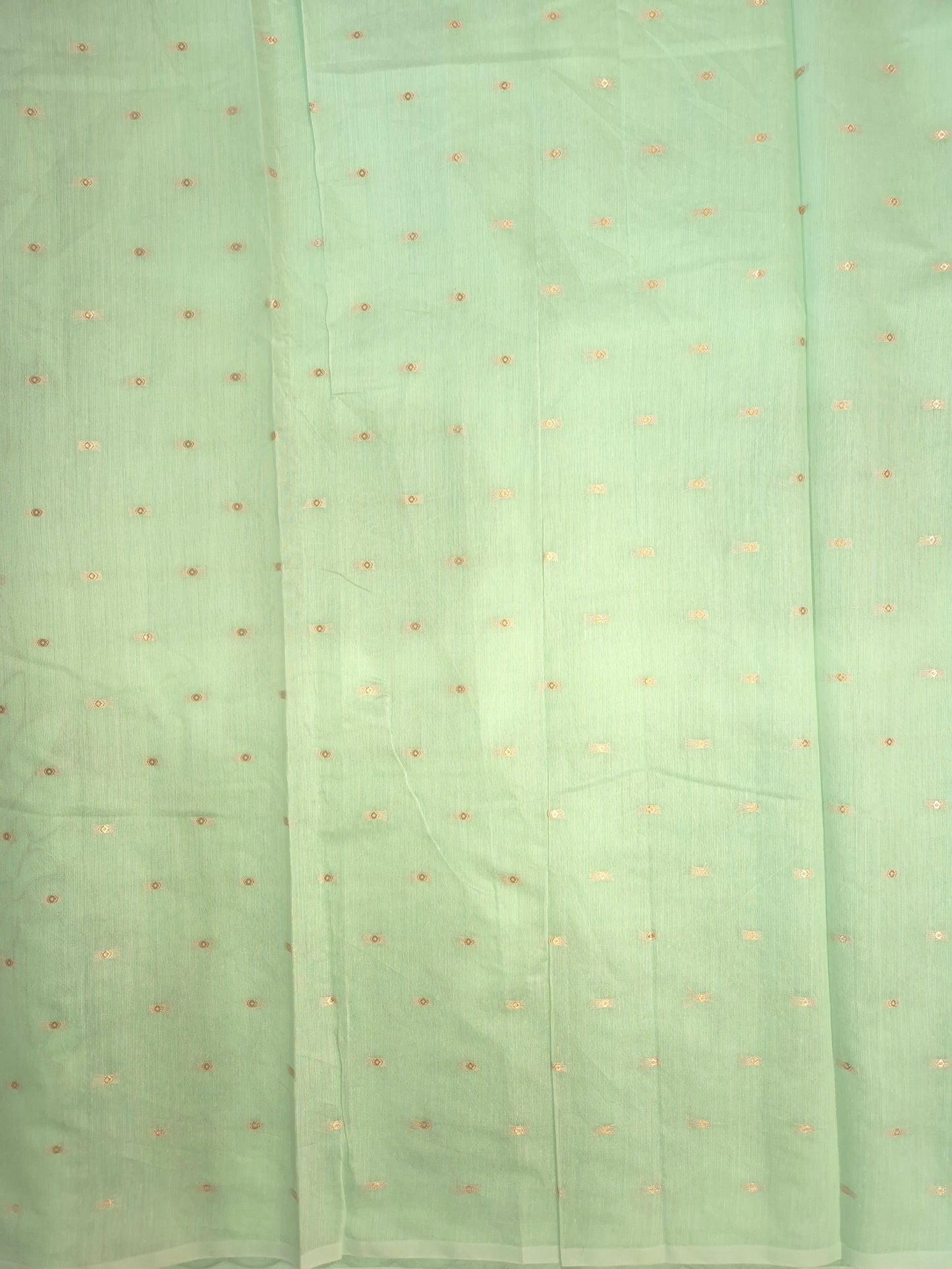 Pastel Mint Organza Applique Saree