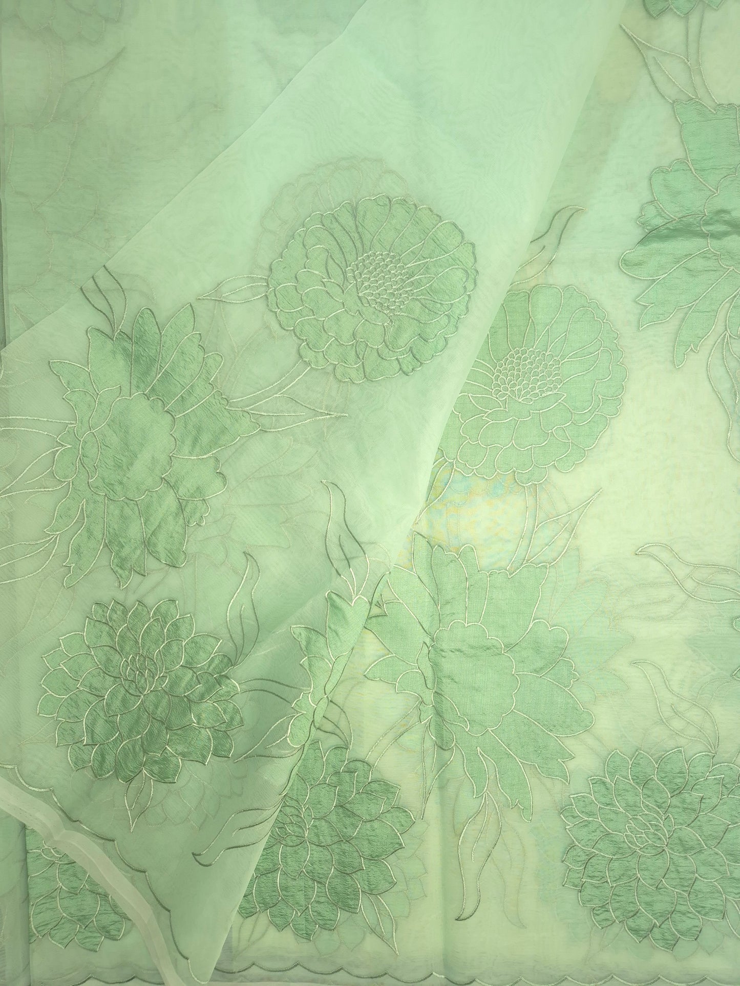 Pastel Mint Organza Applique Saree