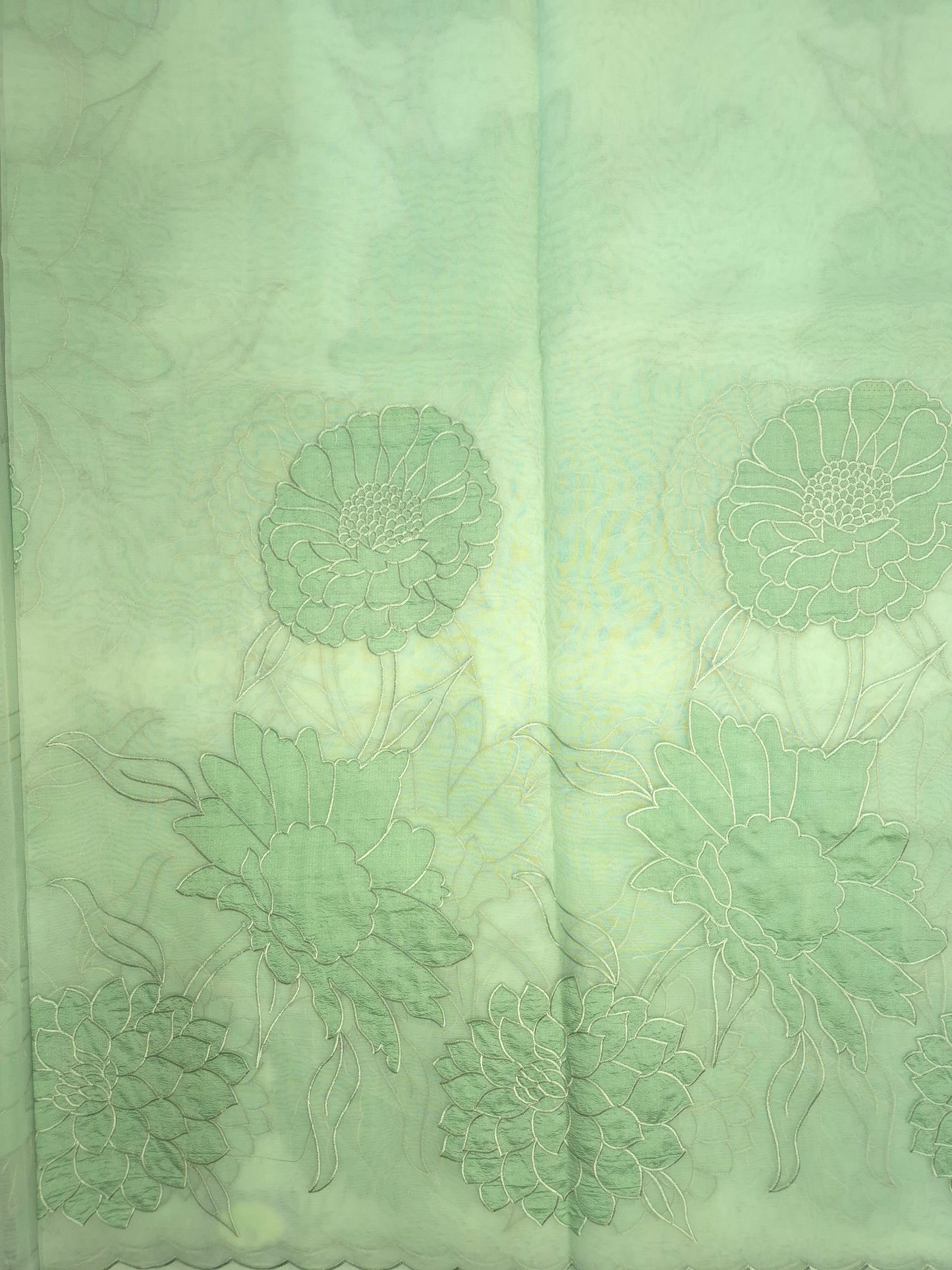 Pastel Mint Organza Applique Saree