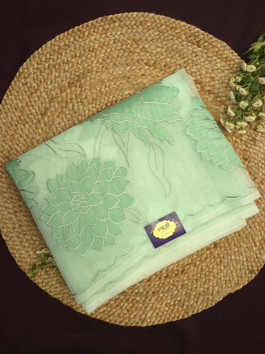 Pastel Mint Organza Applique Saree