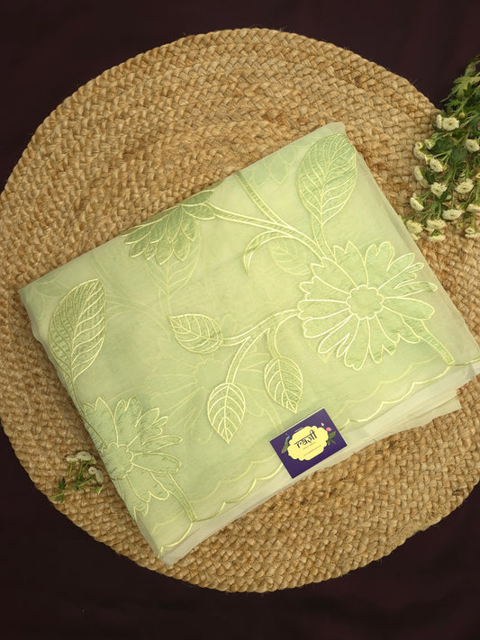 Pastel Green Organza Applique Saree