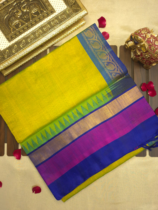 Greenish Yellow Silk Cotton Saree with Dark Blue and Purple Border