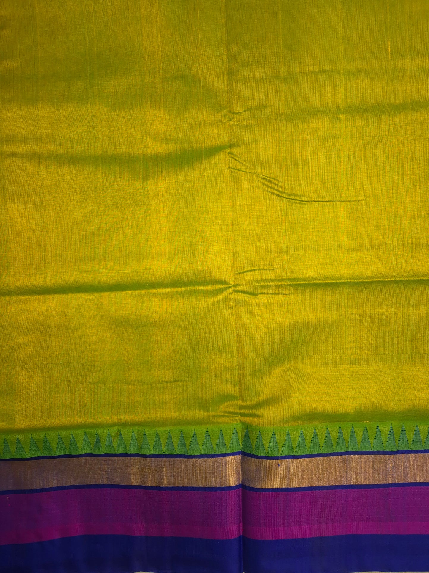 Greenish Yellow Silk Cotton Saree with Dark Blue and Purple Border